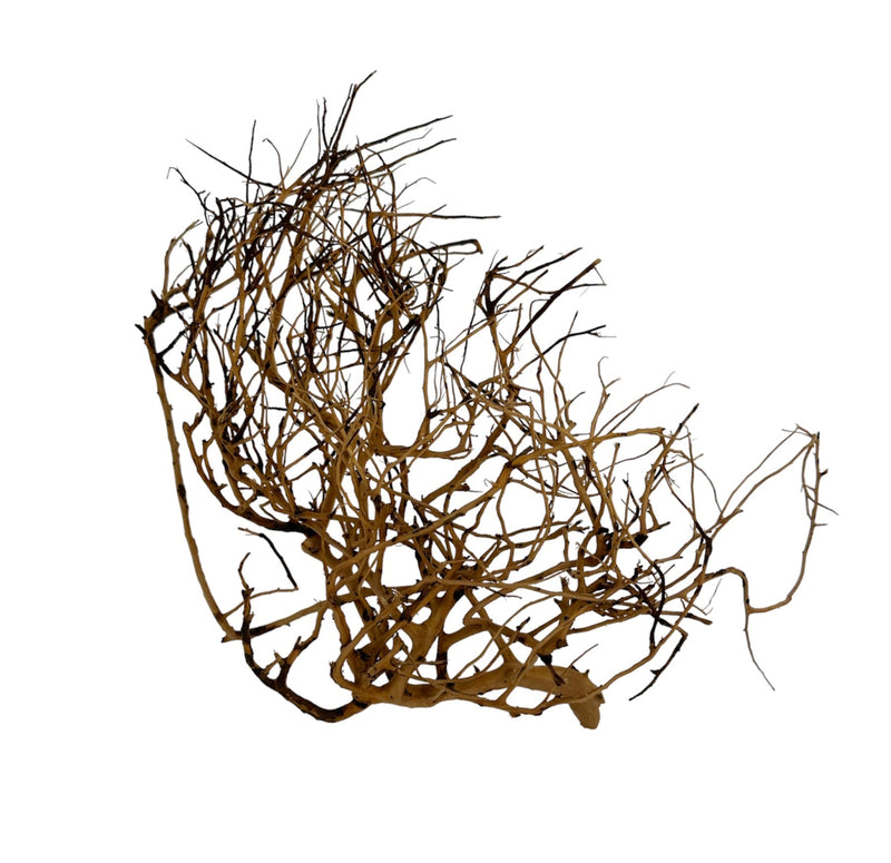 Thorndevil Driftwood - AquaticMotiv