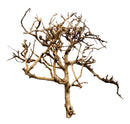Thorndevil Driftwood - AquaticMotiv
