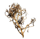Thorndevil Driftwood - AquaticMotiv