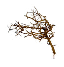 Thorndevil Driftwood: dried branching coral-like piece with gnarled brown texture