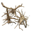Tiger wood natural light brown driftwood sculpture with intricate branches and weathered texture