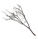 Manzanita Wood - [AquaticMotiv]