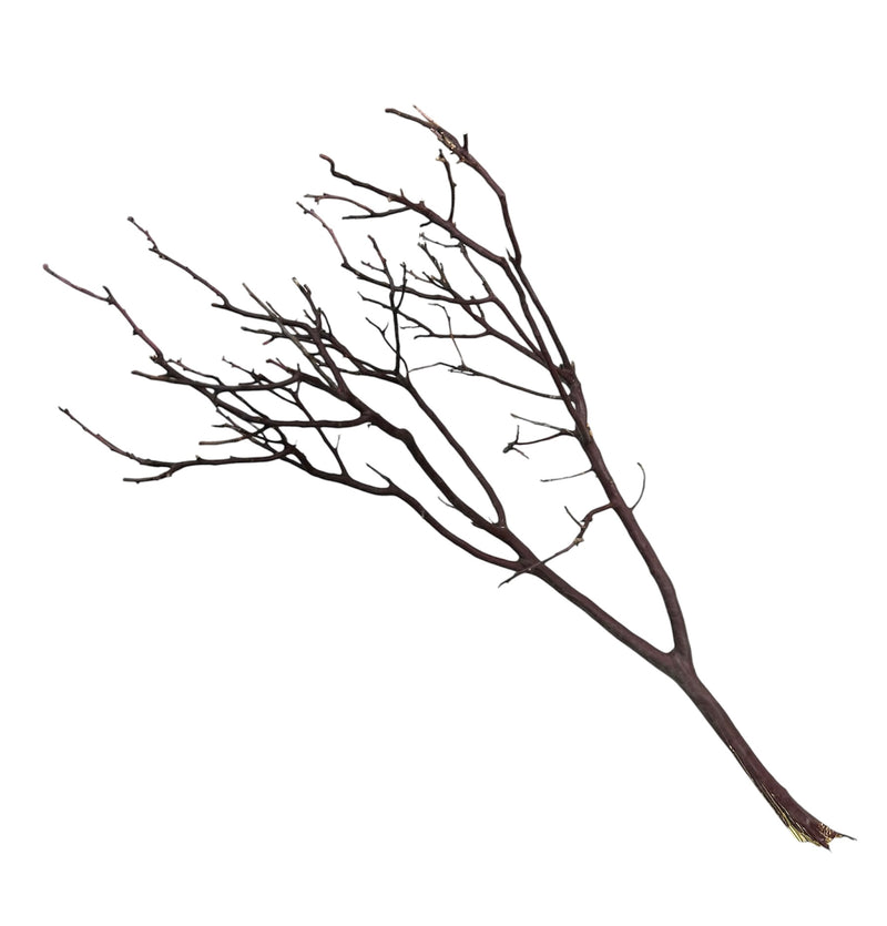 Manzanita Wood - [AquaticMotiv]