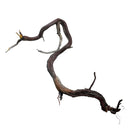 Manzanita Wood - Twisted - [AquaticMotiv]