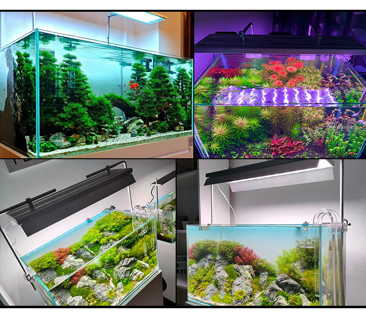 Week Aqua L Series PRO-D - [AquaticMotiv]