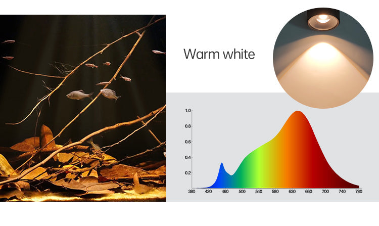 Week Aqua Mini7 PRO-F - [AquaticMotiv]