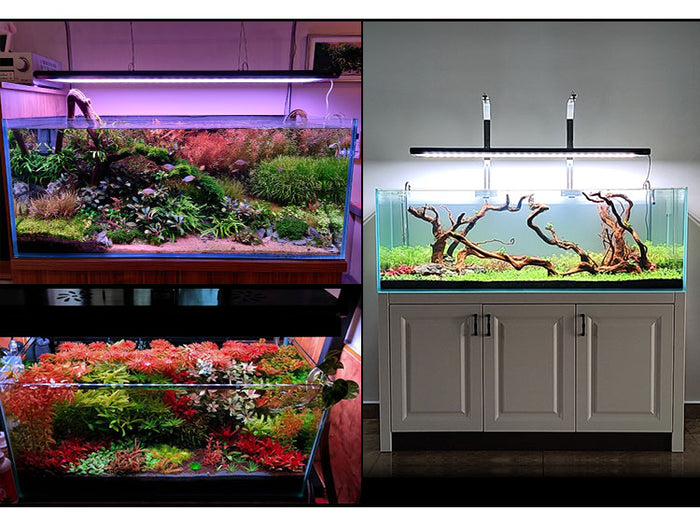 Week Aqua P series | AquaticMotiv