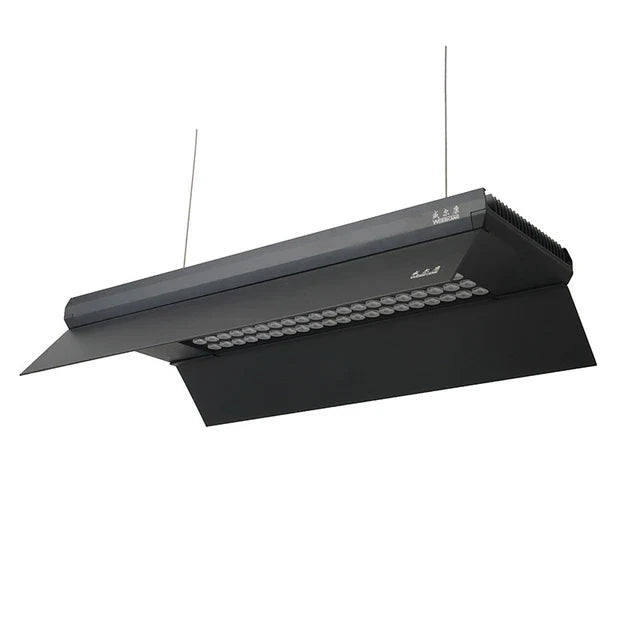 Week Aqua Z400 Shades - [AquaticMotiv]