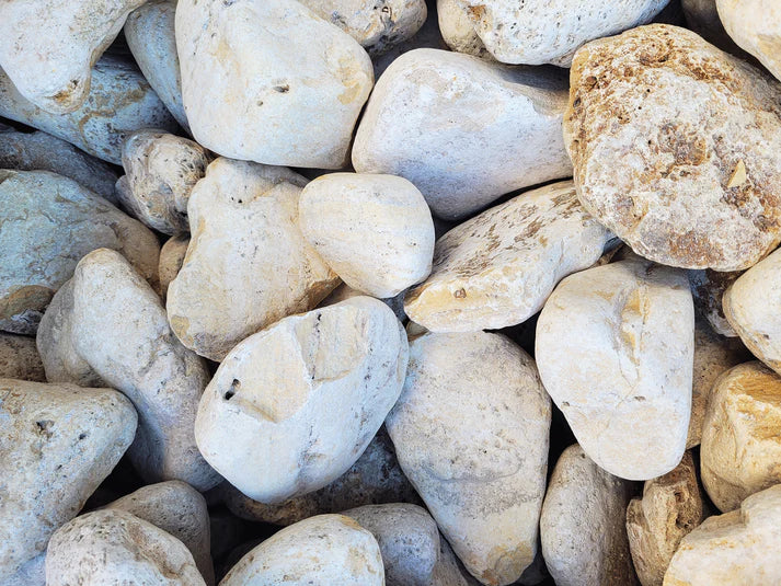 White Adder Boulder - [AquaticMotiv]