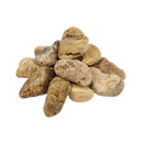 White Adder Nano Boulder - [AquaticMotiv]