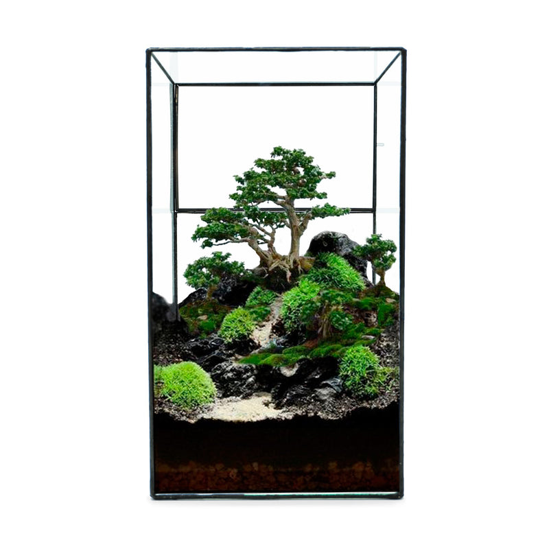 Indoor Plant / Little Forest Glass Vessel Container for Succulent Moss Plant Terrarium - AquaticMotiv