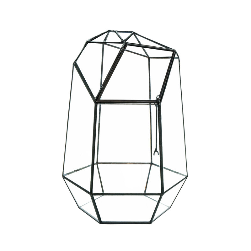 Indoor Plant Geometric Glass Vessel Container for Succulent Moss Plant Terrarium 10.75" High - AquaticMotiv