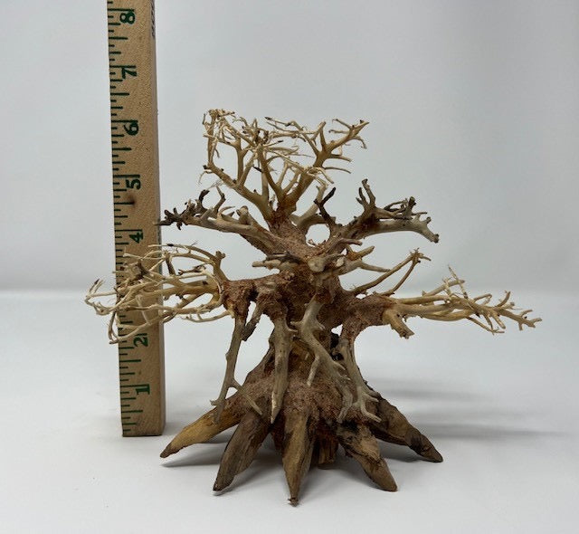 6" Bonsai Driftwood - AquaticMotiv