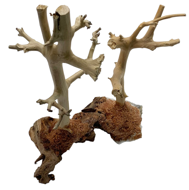 Natural Driftwood Ornament 2 in 1 - AquaticMotiv