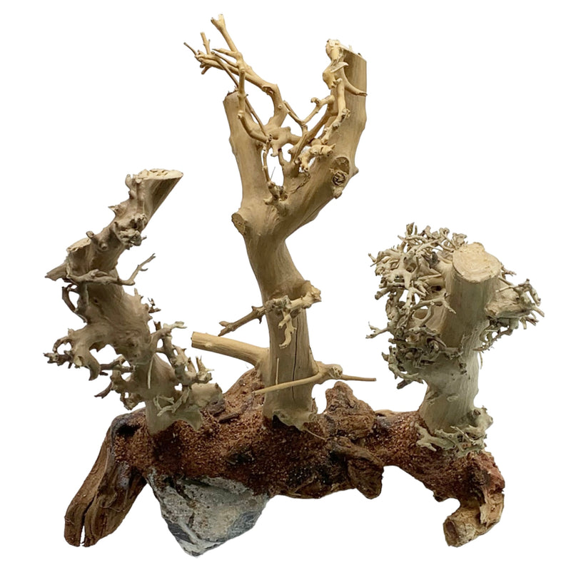Natural Driftwood Ornament 3 in 1 - AquaticMotiv