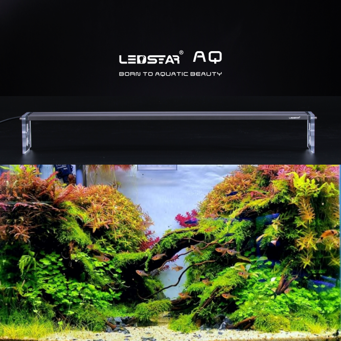 LEDSTAR AQ S (Slim) LED Light - AquaticMotiv