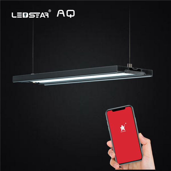 LEDSTAR AQ Z Series RGB Led Light - AquaticMotiv