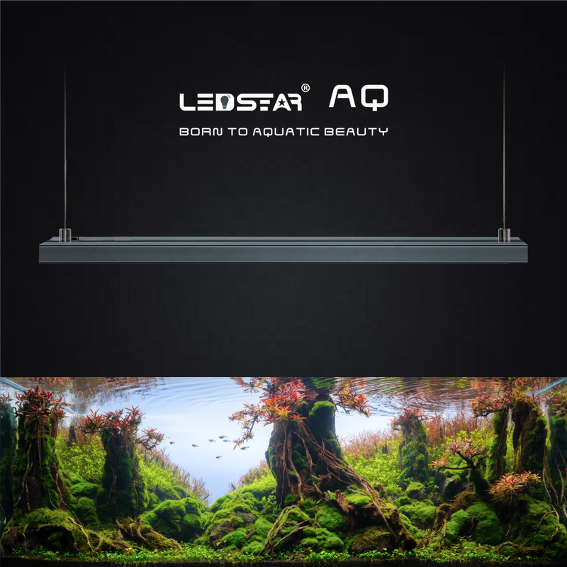 LEDSTAR AQ Z Series RGB Led Light - AquaticMotiv