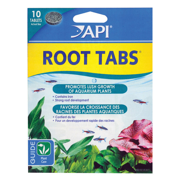 API ROOT TABS API ROOT TABS