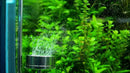 Stainless Steel CO2 Diffuser (Long Fit) - AquaticMotiv