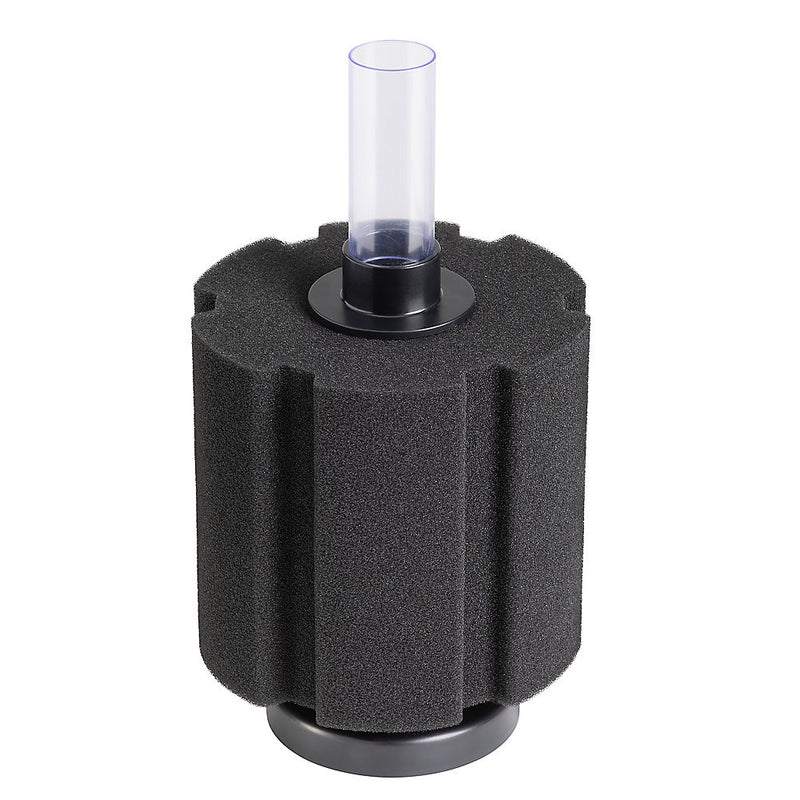 Sponge Filter - AquaticMotiv