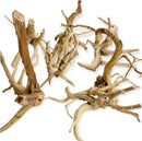 Spider Wood - AquaticMotiv