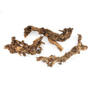 Gnarly Wood - AquaticMotiv