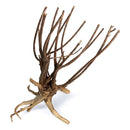 Pine Tiger Wood - AquaticMotiv