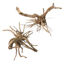 Tiger Wood - AquaticMotiv