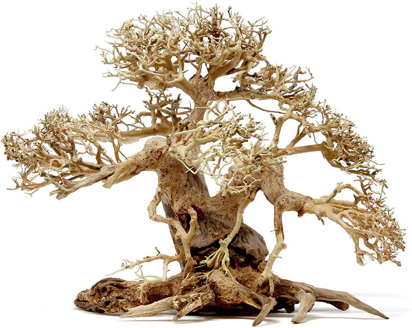 12" Bonsai Driftwood - AquaticMotiv