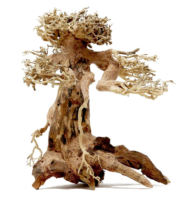 8" Bonsai Driftwood - AquaticMotiv