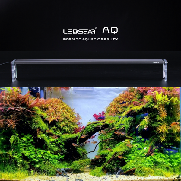 LEDSTAR モデルS2 AQ-S30 水槽LEDライト メーカー正規保証 正規