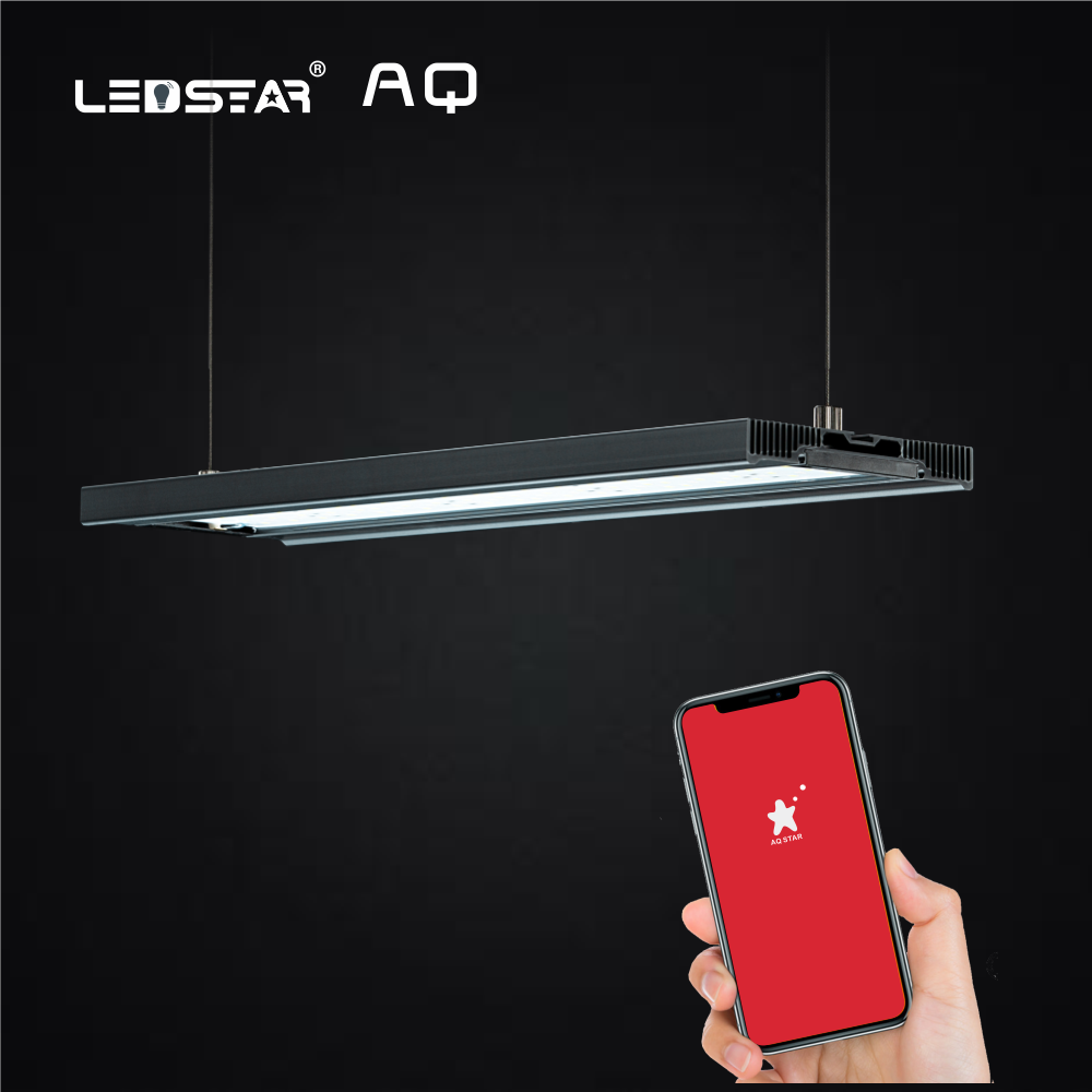 LEDSTAR AQZ Series RGB+W Led Light *New Gen 3* | AquaticMotiv