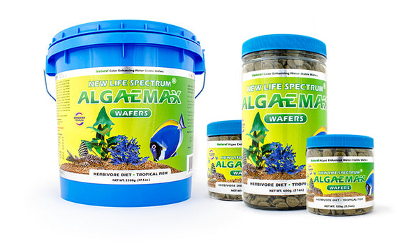 New Life Spectrum AlgaeMax - AquaticMotiv