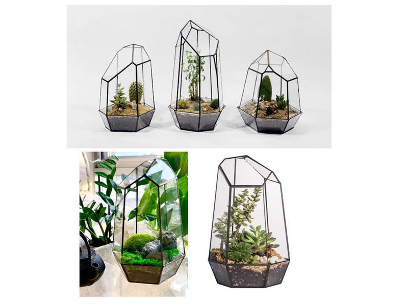 Indoor Plant Geometric Glass Vessel Container for Succulent Moss Plant Terrarium 16"H x 10.5 "W - AquaticMotiv